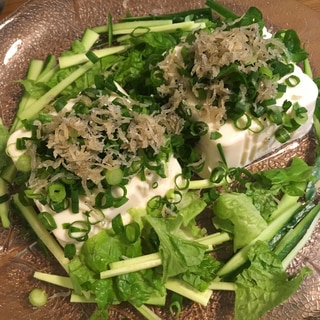 緑野菜とじゃこの豆腐サラダ